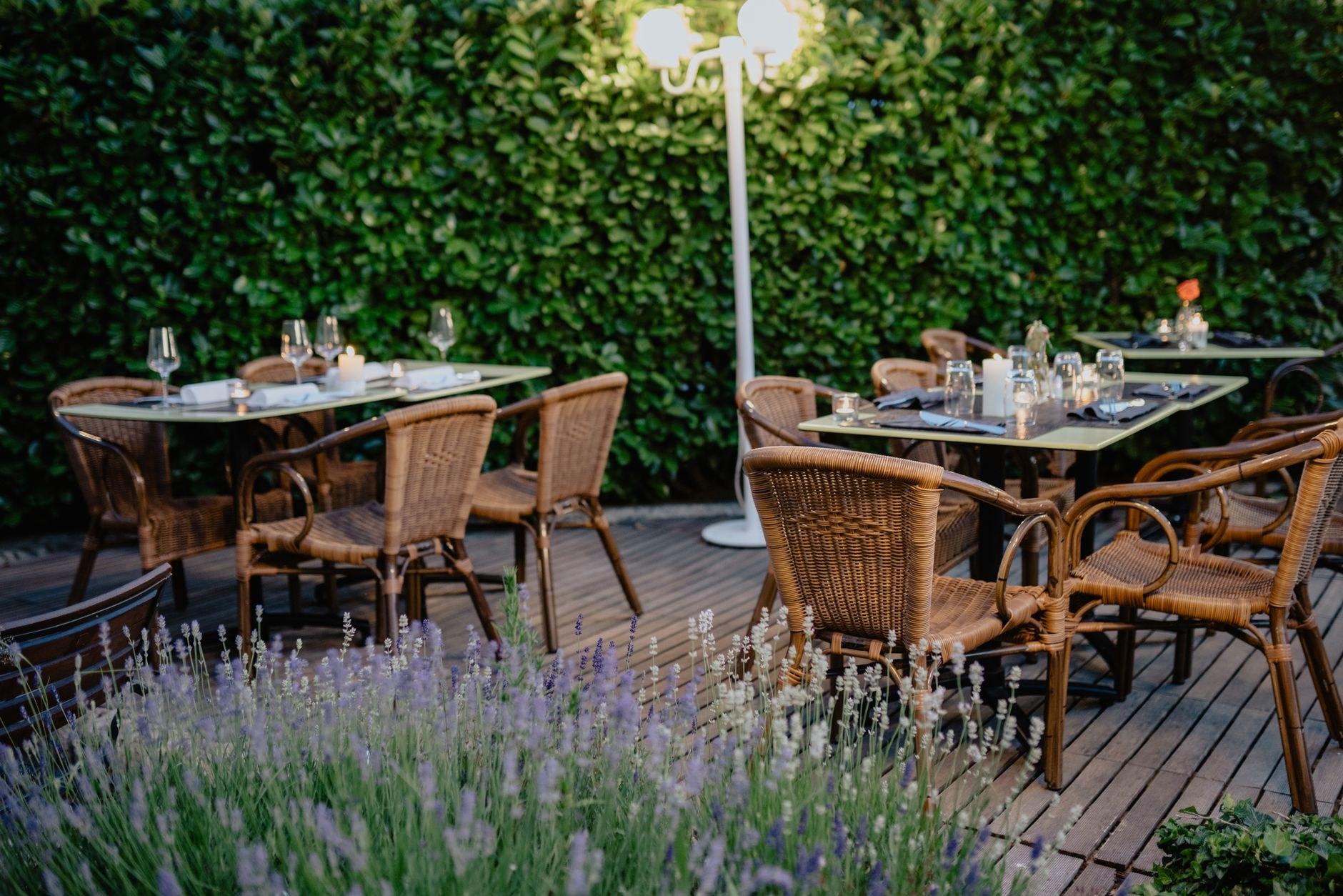 A landscaped patio and planted garden