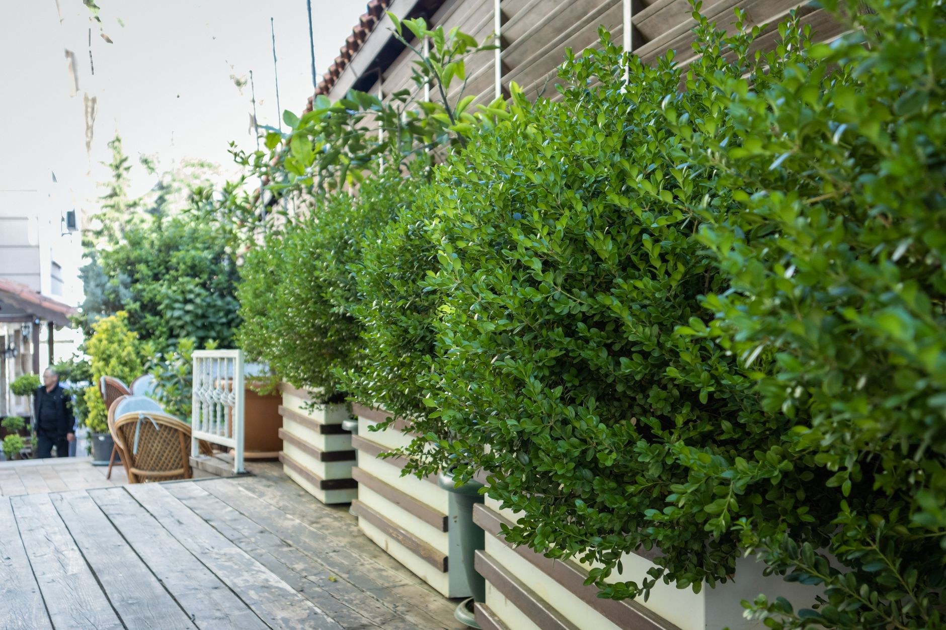 Sample landscaping project
