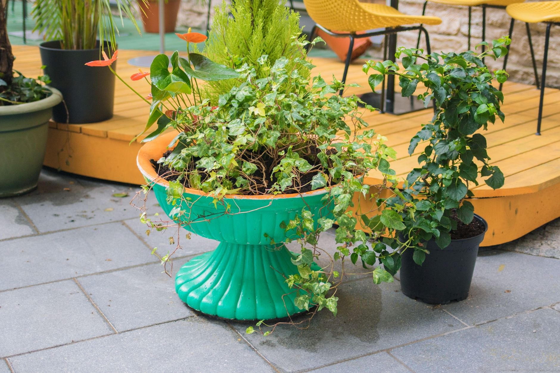 Sample landscaping project