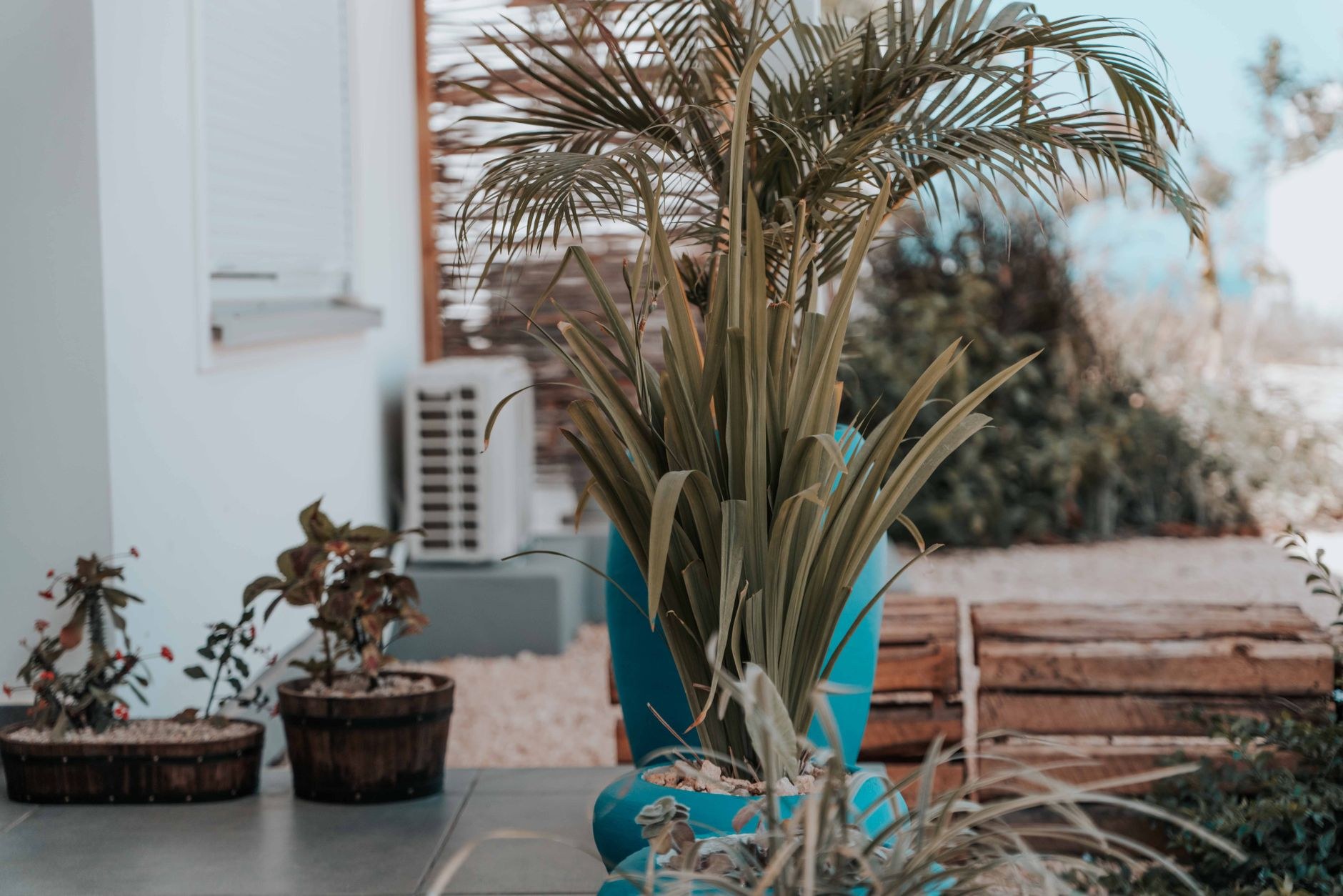 Sample landscaping project